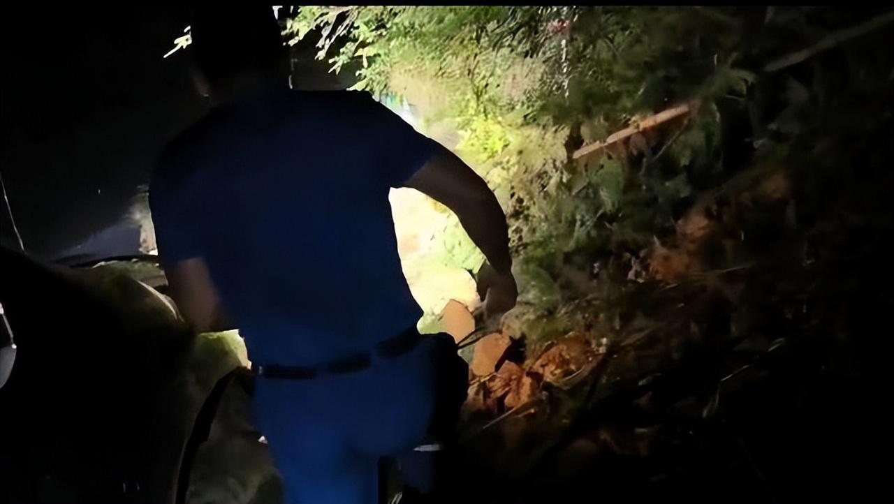 男子洪水救母亲_洪水救孩子_三男子洪水中托举孕妇直至被救