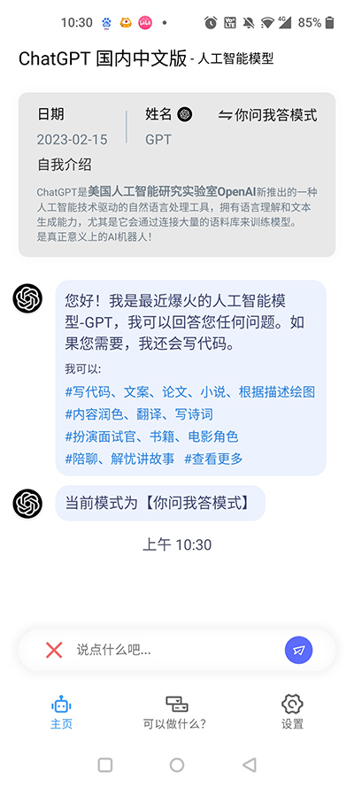 ChatGPT中文版