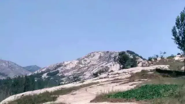 能挣钱的副业_能搞赚钱副业的软件_搞什么副业能赚钱？