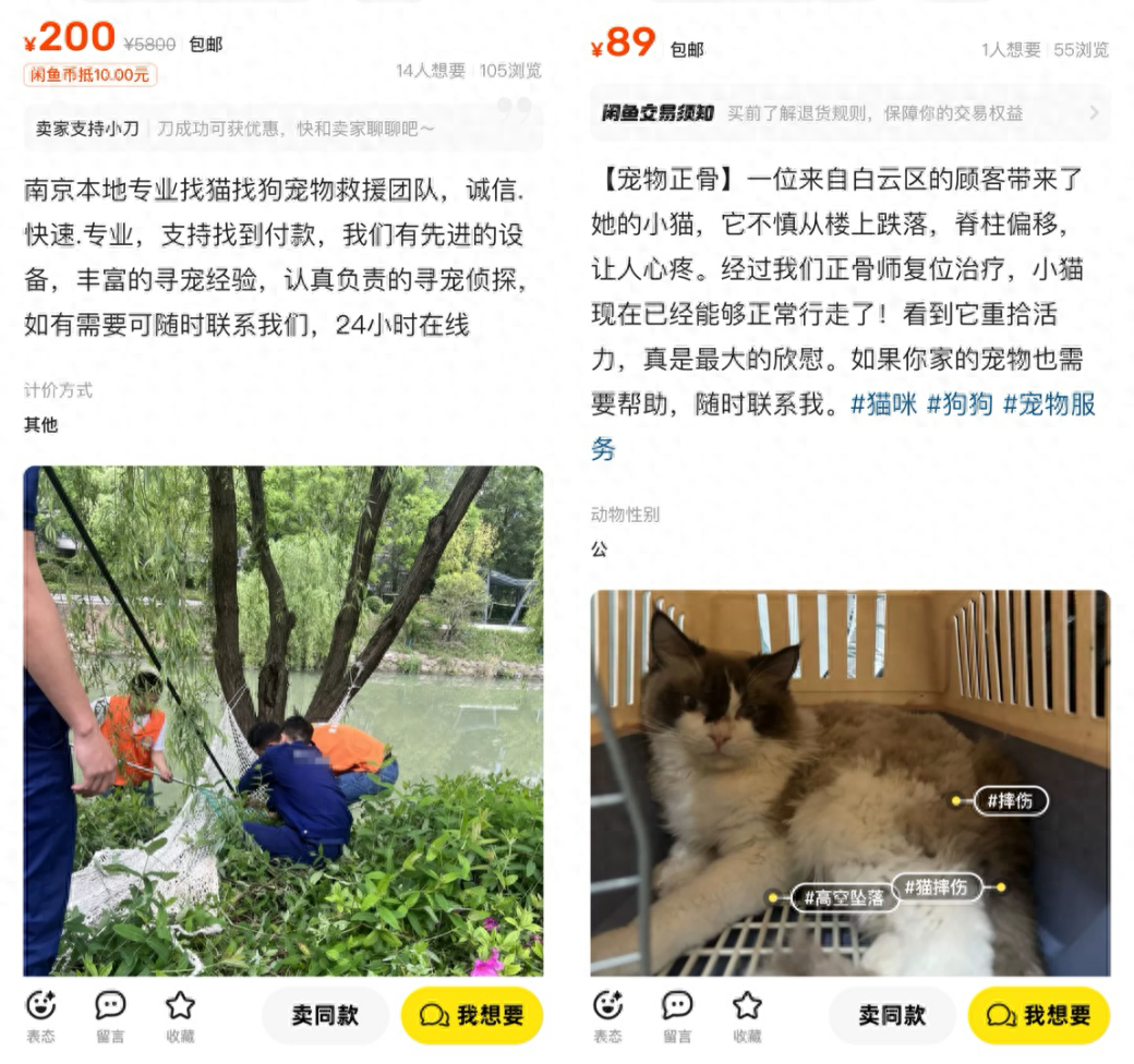 闲鱼简历功能上线三天，20 万年轻人开启花式创业，宠物经济成新商机-云上资源整合网