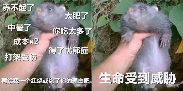 短视频变现_那些做短视频的人是怎么变现的？_短视频变现有什么套路