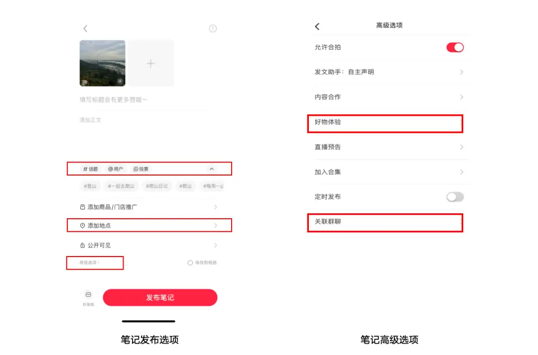 小红书企业号运营人_一个人如何运营公司的小红书账号?_小红书运营公司怎么收费的