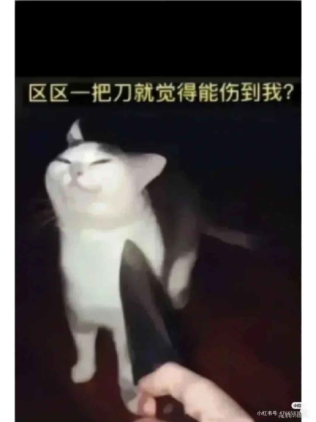 为什么很多人看不惯明星直播带货？_明星直播带货真的便宜吗_明星直播带货越来越多