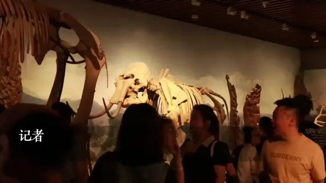 黄牛票广告_免费景区“黄牛票”乱象何解_多抢的票卖给黄牛